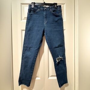 Levi’s heritage, high-rise, skinny, stretchy Distressed Jeans. Size 8/29. GUC